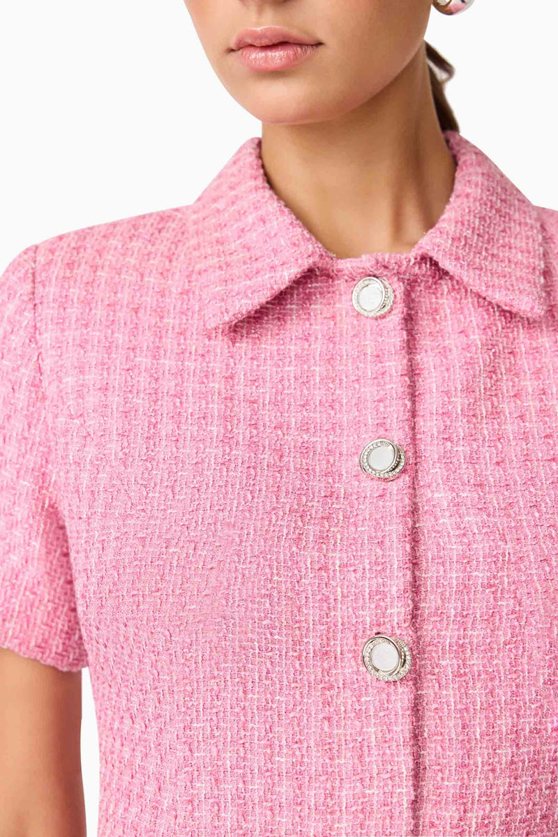 Brunette model wearing Alia Short Sleeve Mini Dress in Pink detail shot
