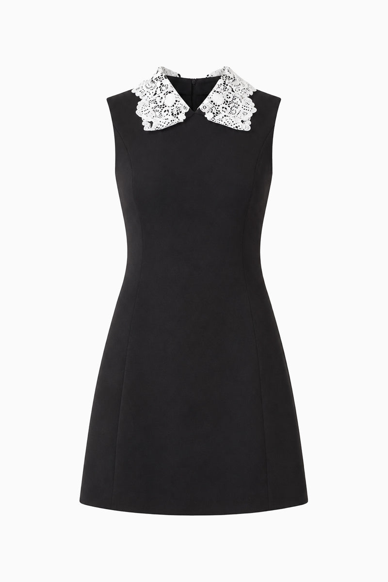 Elysia Lace Collar Mini Dress in Black – Elliatt