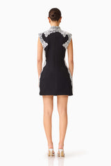 Elysia Lace Mini Dress in Black with a back zipper back shot