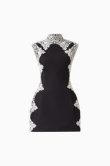 Elysia Lace Mini Dress in Black with a high neckline & tulip silhouette ghost shot