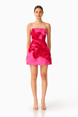 Florentia Textured Jacquard Mini Dress in Pink & Red with trim detailing & slim fit front shot
