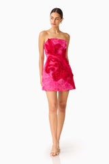 Florentia Textured Jacquard Mini Dress in Pink & Red with trim detailing & slim fit posed shot