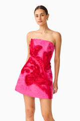 Florentia Textured Jacquard Mini Dress in Pink & Red with trim detailing & slim fit close up shot