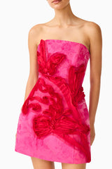Florentia Textured Jacquard Mini Dress in Pink & Red with trim detailing & slim fit detail shot