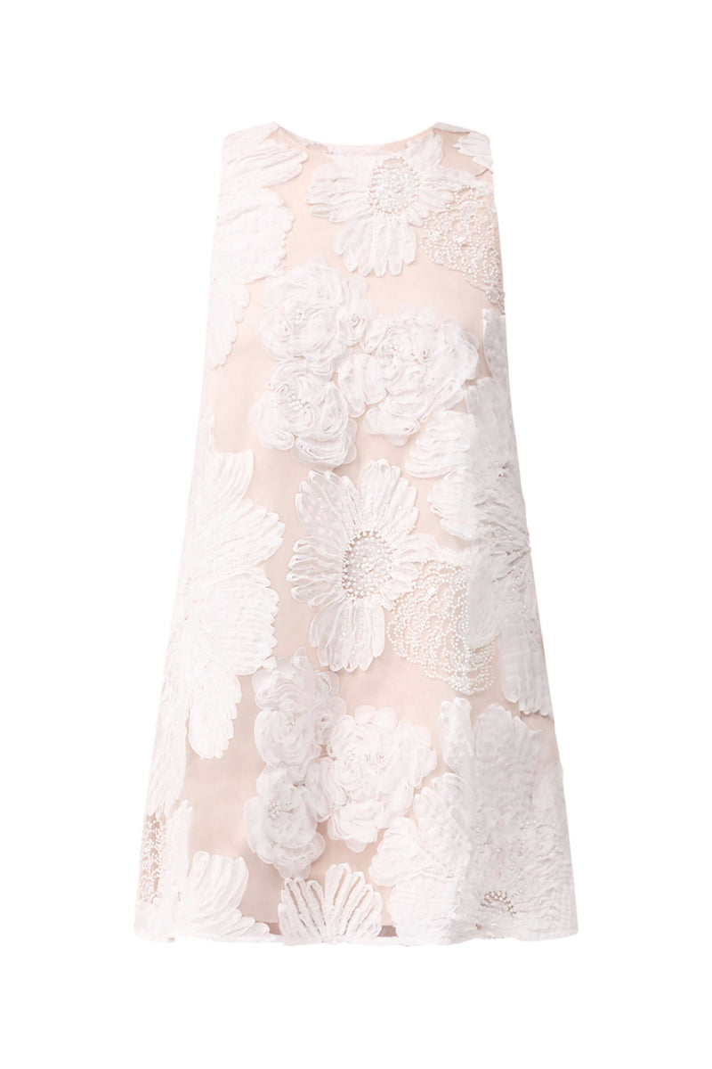 Roxana Shift Mini Dress in White ghost shot