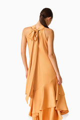 Varella Halter Gown in Orange with a self tie neckline back shot