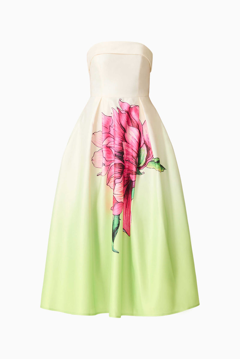 Elisia Strapless Gown in Green & Pink Floral – Elliatt
