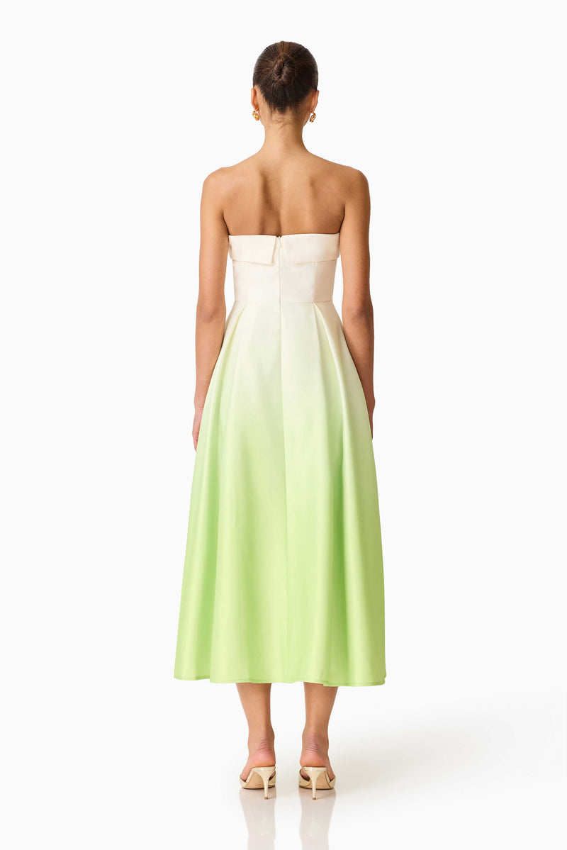 Elisia Strapless Gown in Green & Pink Floral Elliatt Elisia Strapless Gown in Green & Pink Floral Elliatt