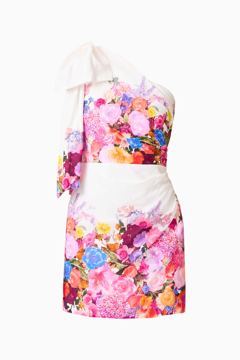 one shoulder floral dress mini Alice One Shoulder Mini Dress in Ombre Floral – Elliatt