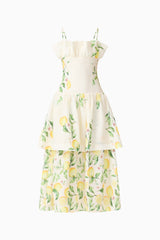 Hana Tiered Maxi Dress in Lemon Print ghost shot