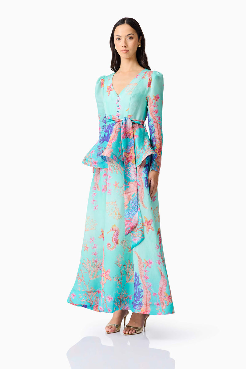 Coral Long Sleeve Maxi Dress in Blue Multi  Elliatt