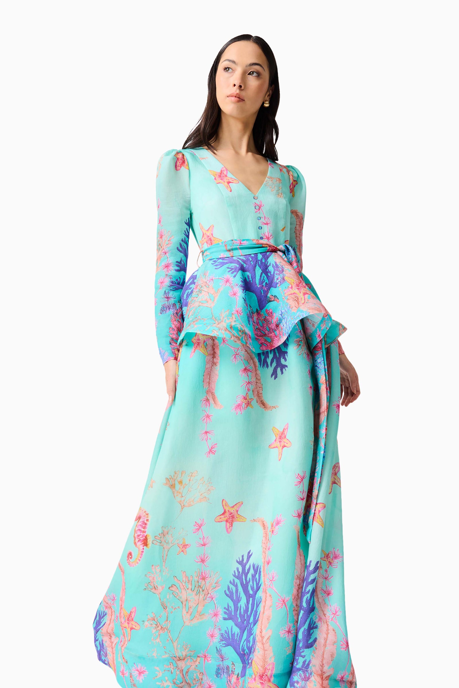Coral Long Sleeve Maxi Dress in Blue Multi – Elliatt