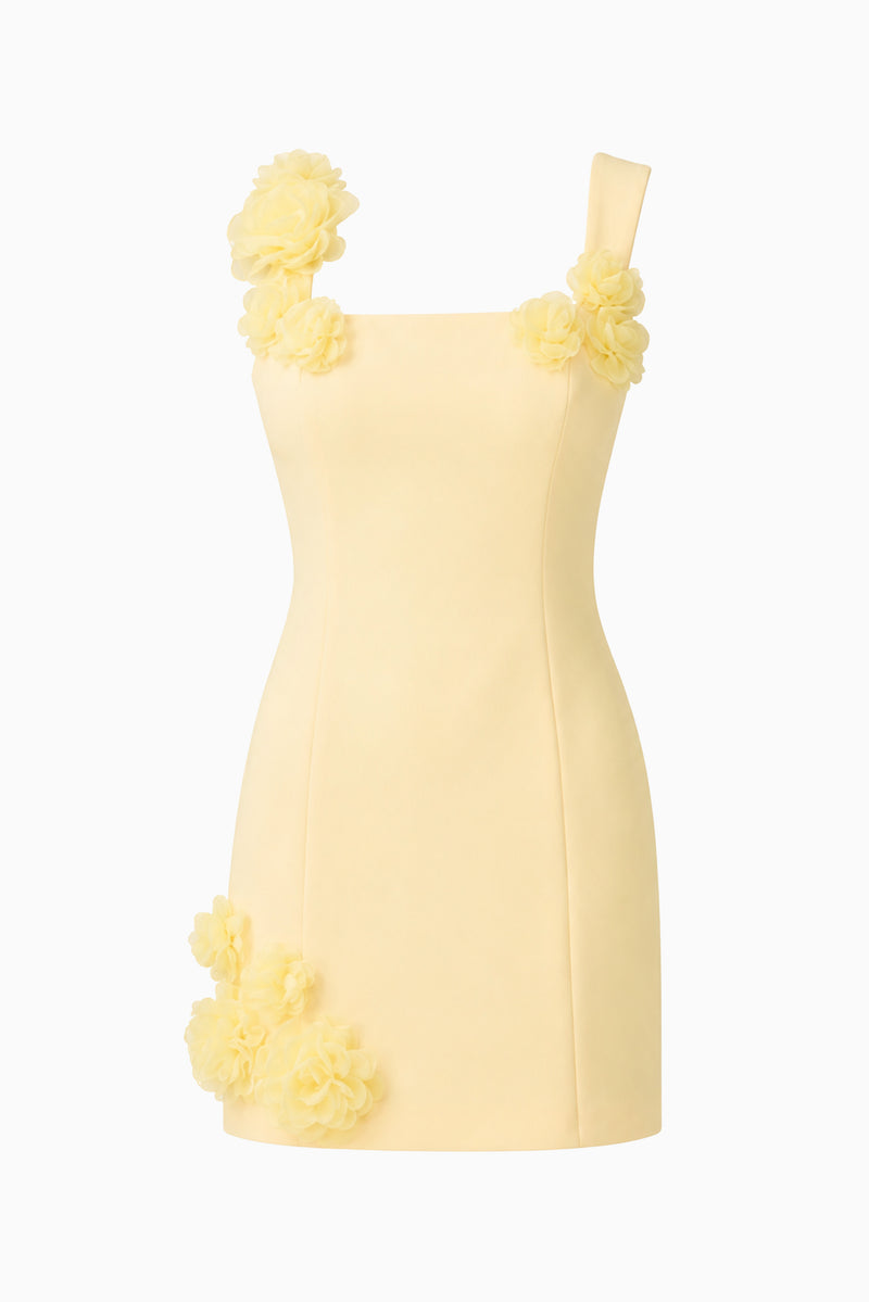 elliatt trompe mini dress 3D In Yellow Magnetic Elegance Collection or any event where Color:Shell-Calia Paisley Madonna Rust Maxi Dress