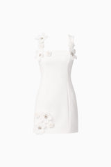 Chantelle Floral Mini Dress in White ghost shot