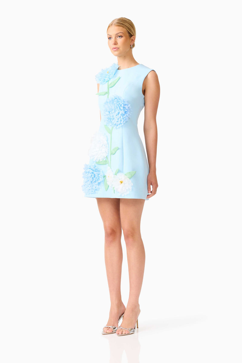 Buttercup Embroidered Mini Dress - Blue - L - ELLIATT