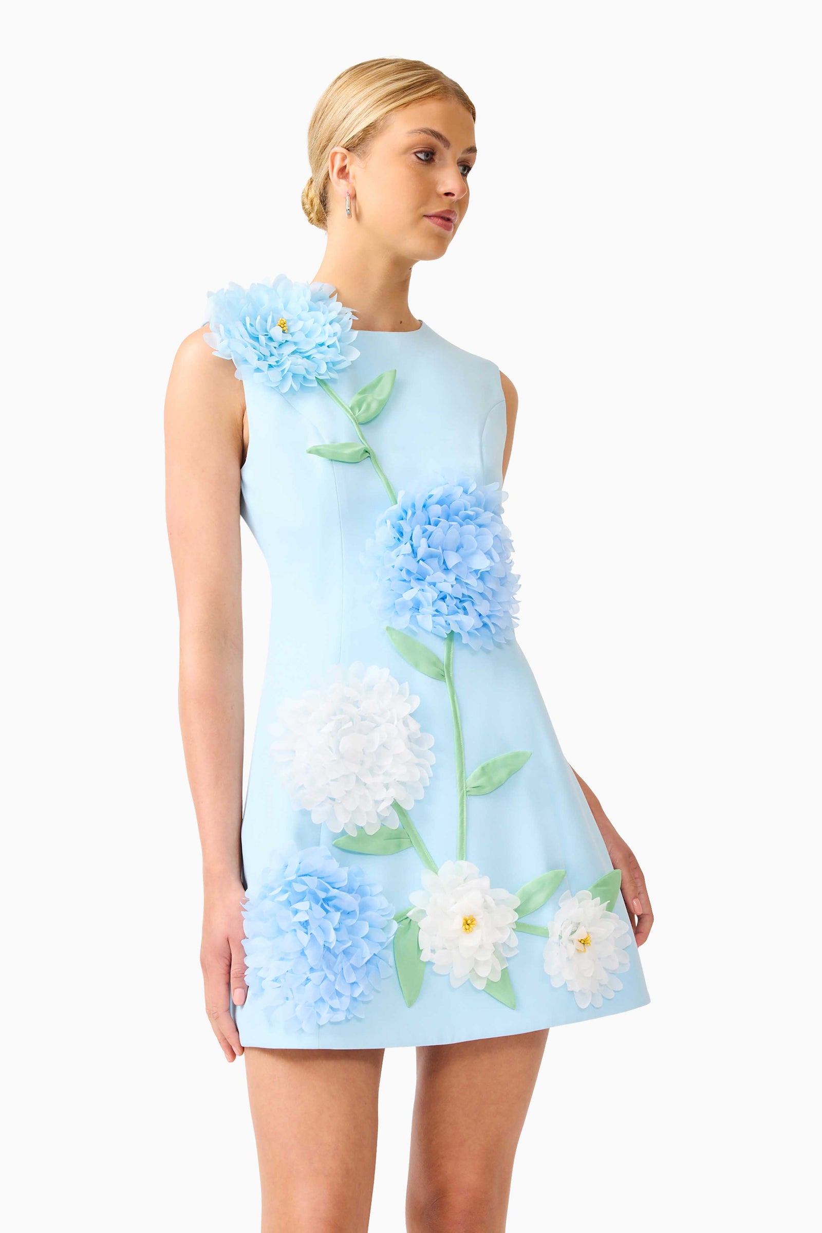 Buttercup Embroidered Mini Dress in Blue – Elliatt