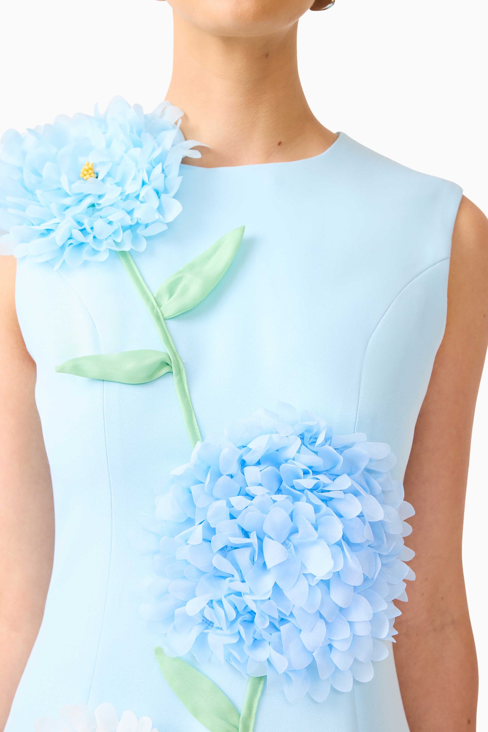 Buttercup Embroidered Mini Dress in Blue  Elliatt