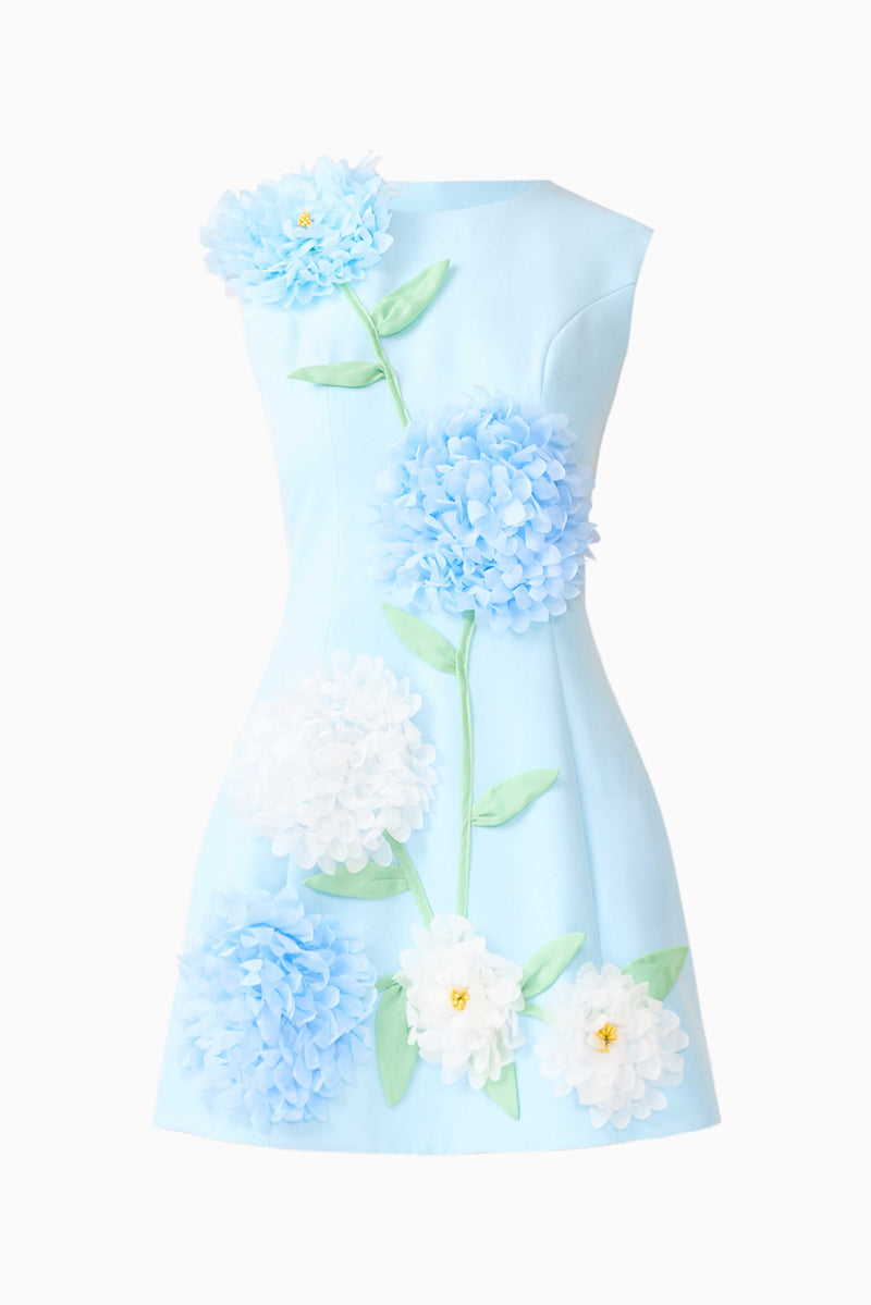Buttercup Embroidered Mini Dress in Blue  Elliatt