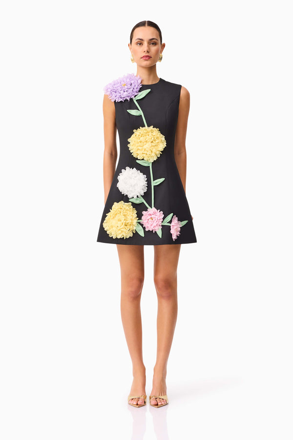Brunette model wearing Buttercup Embroidered Mini Dress Black front shot 