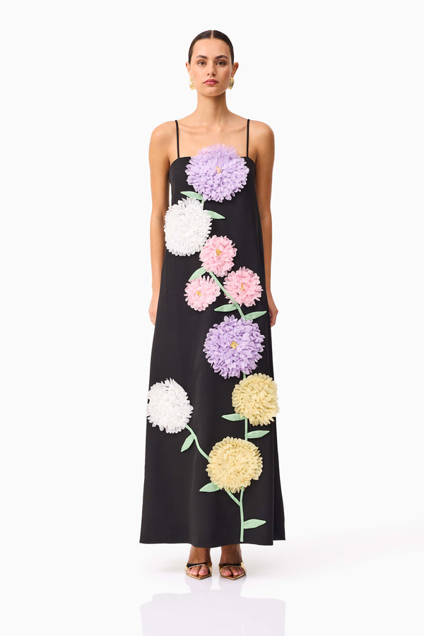 Brunette model wearing Buttercup Embroidered Maxi Dress in Black front shot