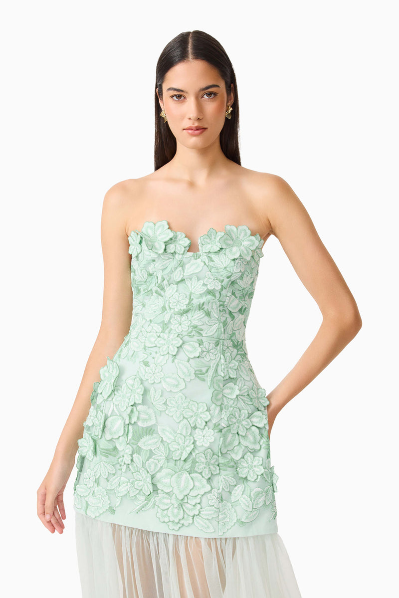 Roseate Strapless Maxi Dress in Mint Green Roseate Strapless Maxi Dress in Mint Green
