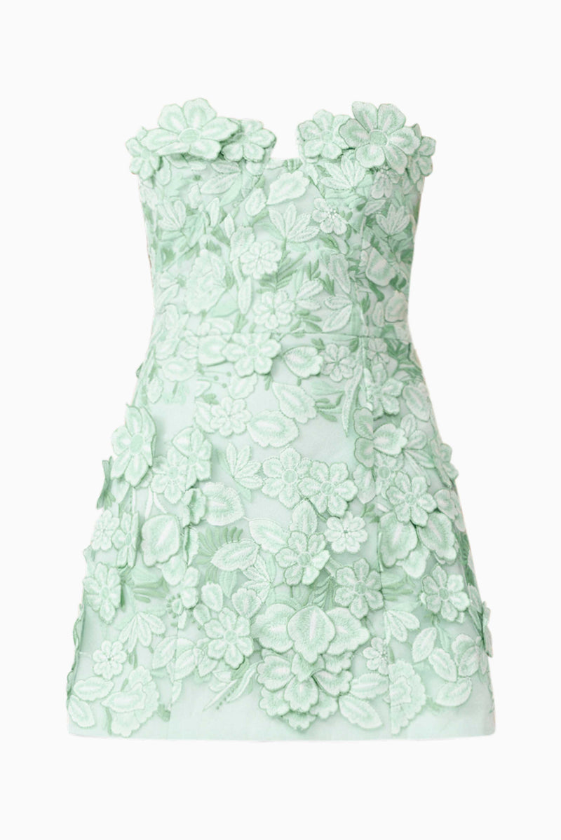 Roseate Strapless Maxi Dress in Mint Green Elliatt Roseate Strapless Maxi Dress in Mint Green Elliatt