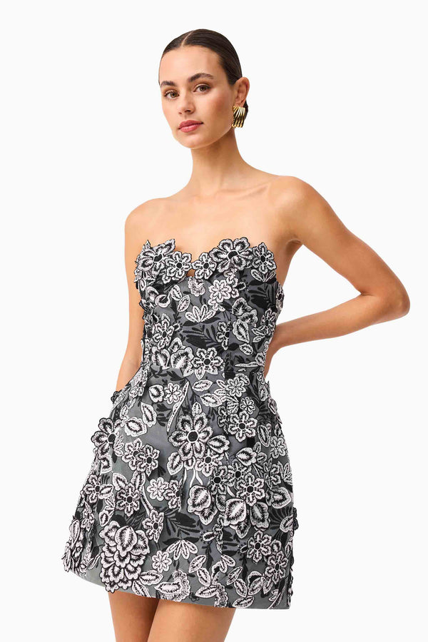 Brunette model wearing Roseate Floral Mini Dress in Black close up posed shot
