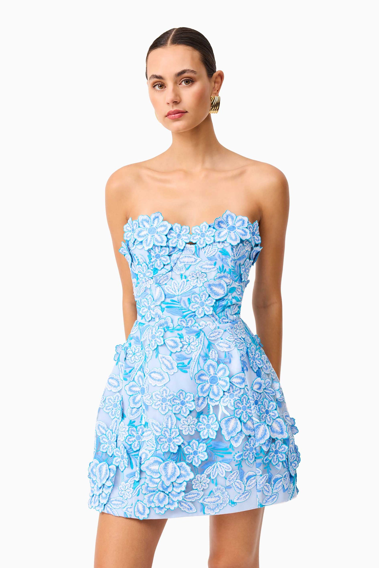 elliatt roseate floral mini dress in blue Roseate Floral Mini Dress - Blue - XXL