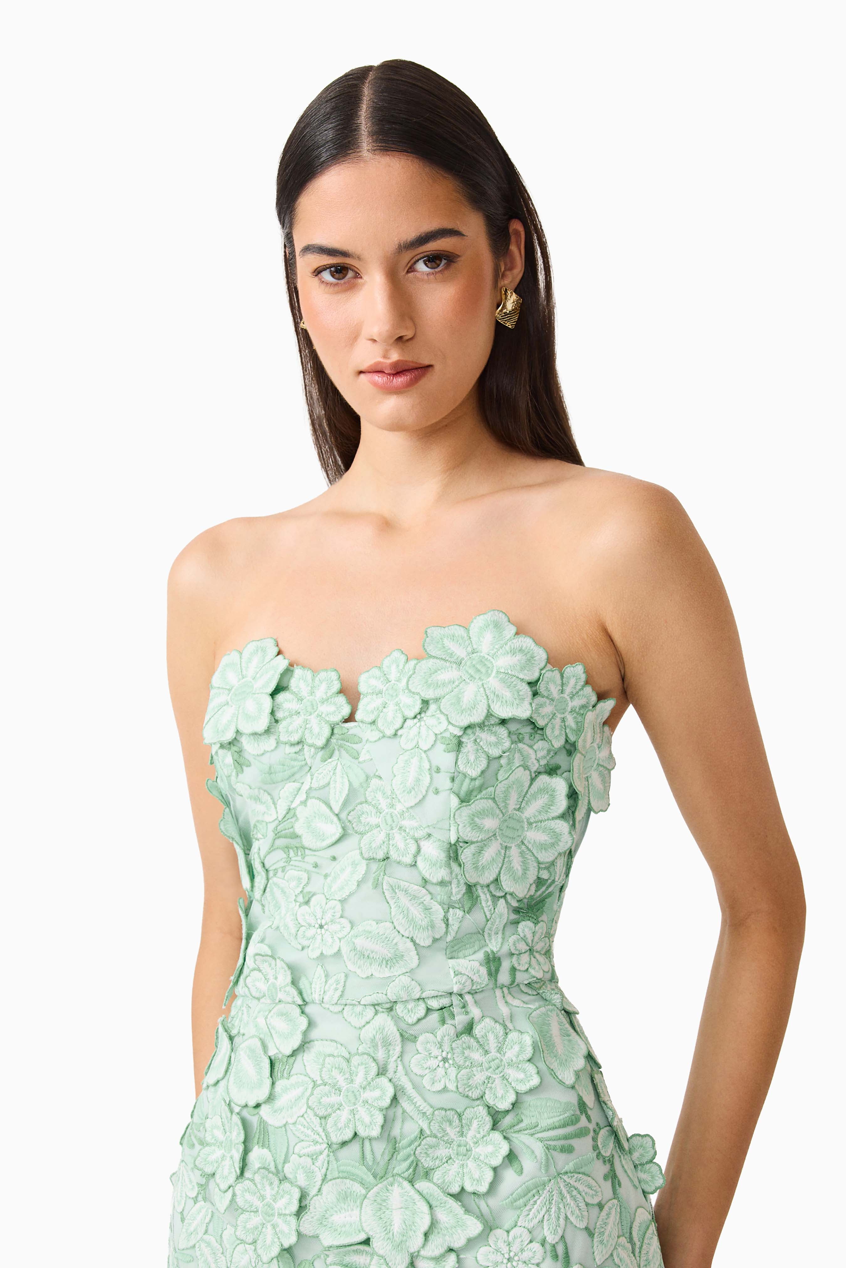 Roseate Strapless Midi Dress in Mint Green
