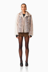 Sabrina Chevron Cropped Jacket in Brown & White with a collared neckline front shot