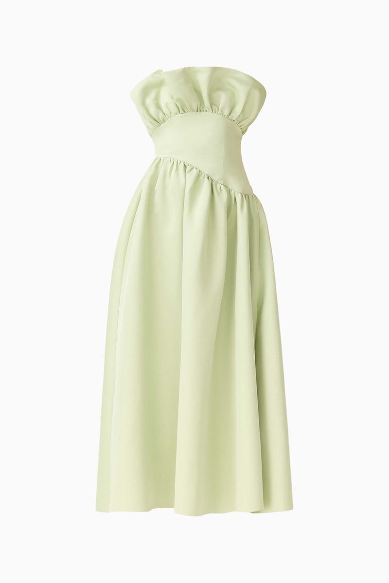Laurel Sleeveless Maxi Dress in Sage Green | Ruffle Bust Detailing Elliatt Laurel Sleeveless Maxi Dress in Sage Green | Ruffle Bust Detailing Elliatt