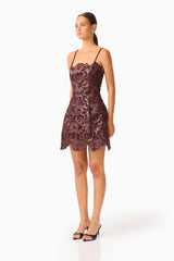 Novelle Tulip Mini Dress in Chocolate Brown with lace fabrication side shot