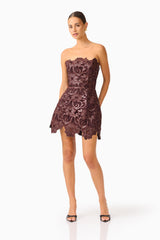 Novelle Tulip Mini Dress in Chocolate Brown with lace fabrication posed shot