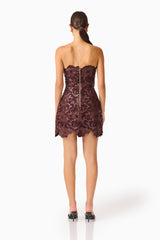 Novelle Tulip Mini Dress in Chocolate Brown with lace fabrication back shot