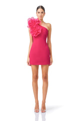 Verdessa One Shoulder Mini Dress in Raspberry with floral applique on the shoulder front shot