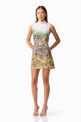 Brunette model wearing the Arden Shift Mini Dress in Multi Ombre posed shot