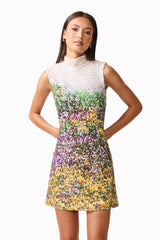 Brunette model wearing the Arden Shift Mini Dress in Multi Ombre close up shot