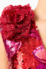 Solara Embellished Gown Dress in Red & Pink with sequin detailing detail shot