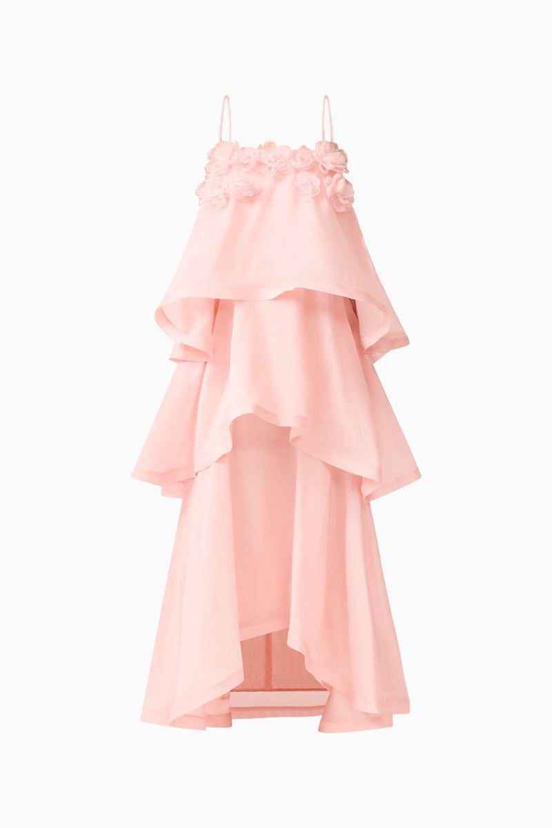 day to night maxi dress Swallowtail Day To Night Maxi Dress In Pink