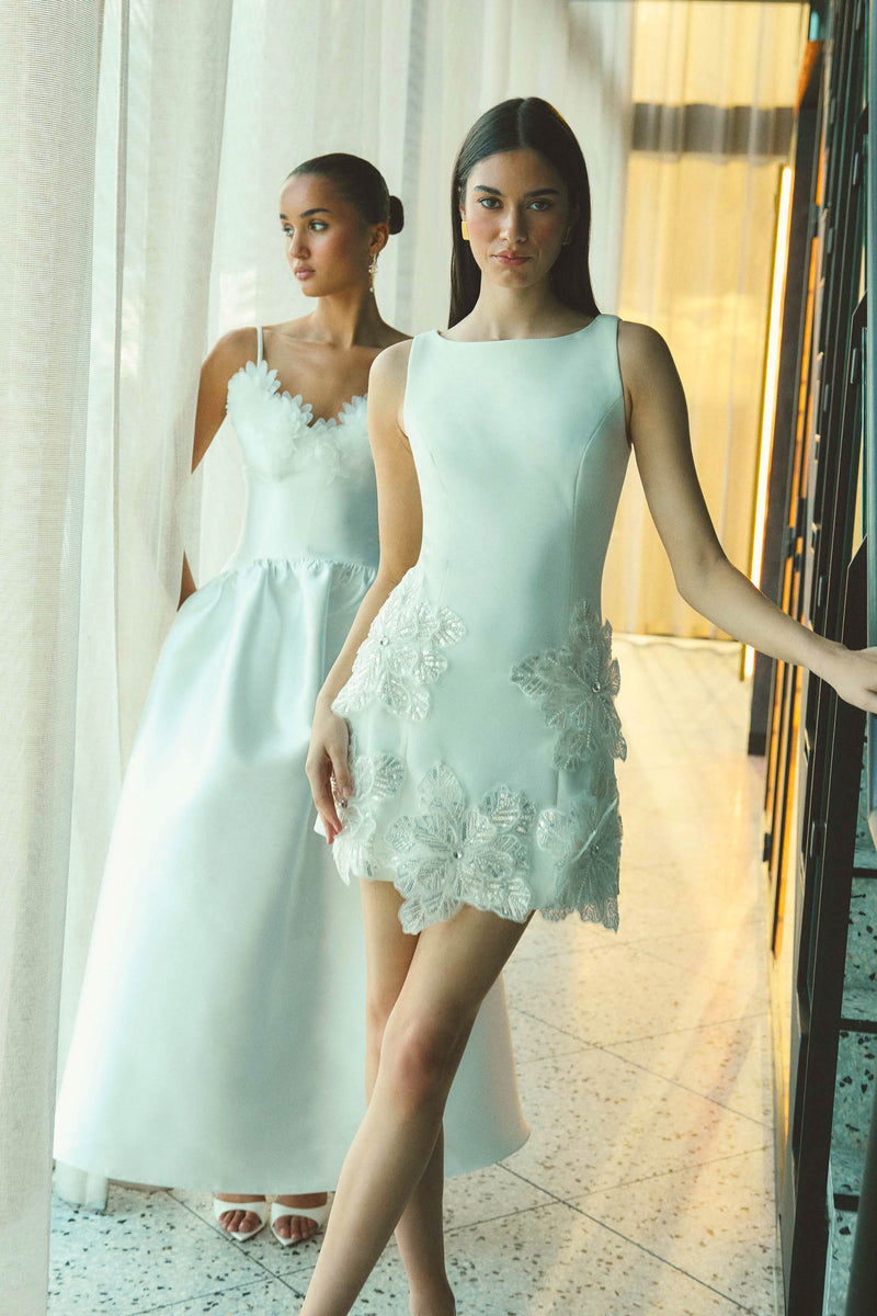 skye embroidered mini dress Elliatt Skye Floral Appliqu Mini Dress